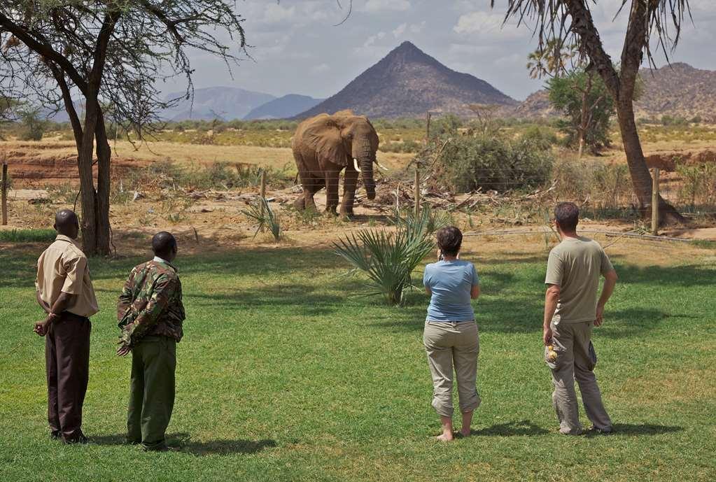 Ashnil Samburu Camp Hotel Eksteriør billede